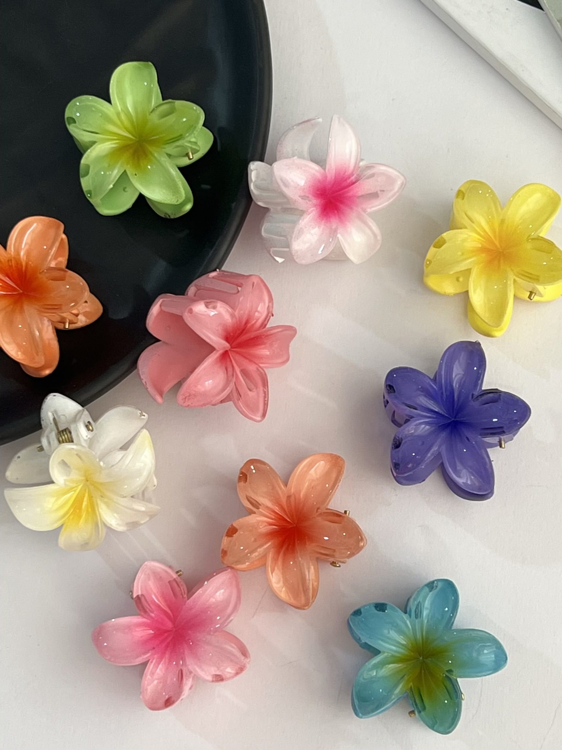 مینی کلیپس پلومریا